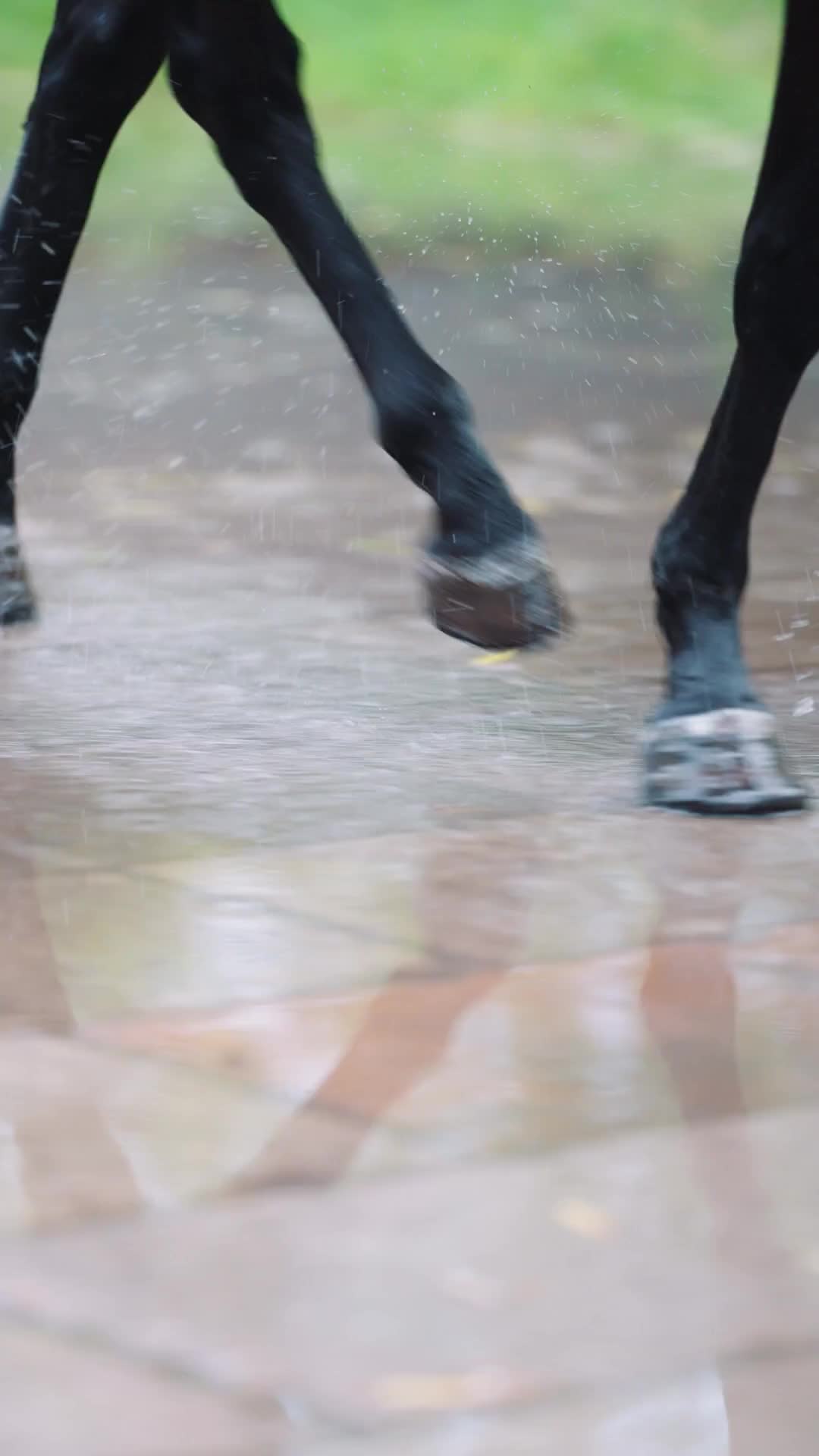 Episode 1 - Back From War, I Want a Divorce